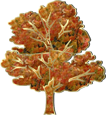 arbre