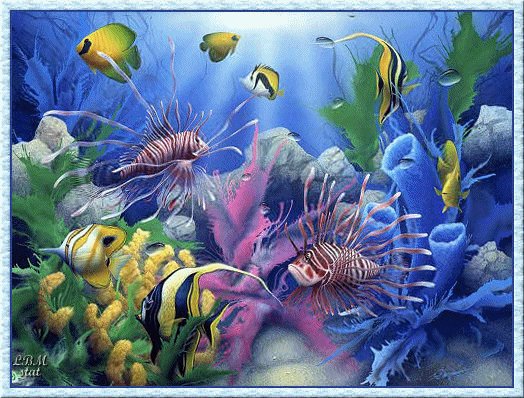 Rascasses et autres poissons évoluant dans les fonds marins