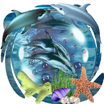 Cétacés ... Dauphins  ... Belle image