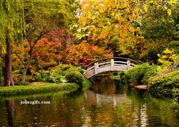 Les couleurs de l'Automne sur le parc...