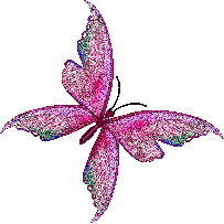 animaux papillons